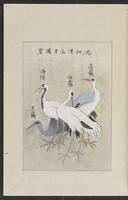 ku-speccoll:12319-163