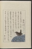 ku-speccoll:12319-166