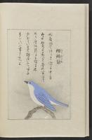 ku-speccoll:12319-170