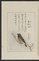 ku-speccoll:12319-171