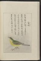 ku-speccoll:12319-174