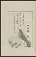 ku-speccoll:12319-179