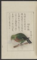 ku-speccoll:12319-181