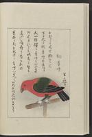 ku-speccoll:12319-182