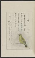 ku-speccoll:12319-183