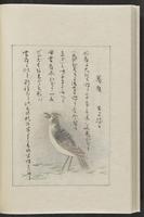 ku-speccoll:12319-184
