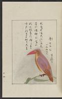 ku-speccoll:12319-189