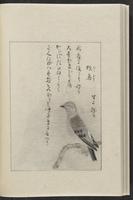 ku-speccoll:12319-190