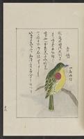 ku-speccoll:12319-193
