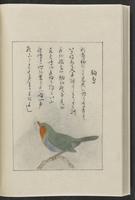 ku-speccoll:12319-194