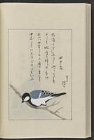 ku-speccoll:12319-196