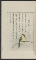 ku-speccoll:12319-203