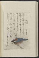 ku-speccoll:12319-204