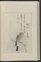 ku-speccoll:12319-208