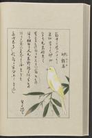 ku-speccoll:12319-214