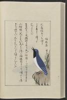 ku-speccoll:12319-218