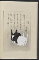 ku-speccoll:12319-234