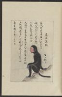 ku-speccoll:12319-235