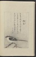 ku-speccoll:12319-236