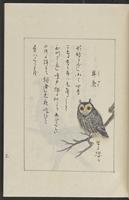 ku-speccoll:12319-237