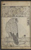ku-speccoll:12730-33