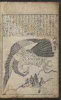 ku-speccoll:12730-52