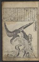 ku-speccoll:12730-53