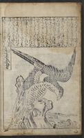 ku-speccoll:12730-54