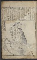 ku-speccoll:12730-55