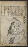 ku-speccoll:12730-56