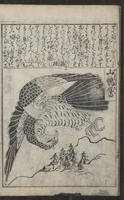 ku-speccoll:12821-34