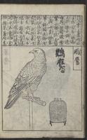 ku-speccoll:12821-56