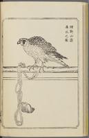 ku-speccoll:12892-36