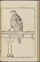 ku-speccoll:12892-38