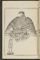 ku-speccoll:12892-39