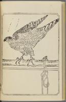 ku-speccoll:12892-40