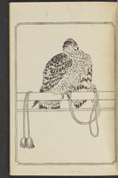 ku-speccoll:12892-41