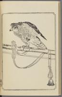 ku-speccoll:12892-42