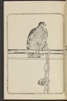 ku-speccoll:12892-43