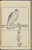 ku-speccoll:12892-44