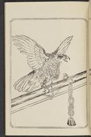 ku-speccoll:12892-45