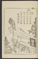 ku-speccoll:12892-51