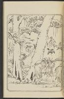 ku-speccoll:12892-55