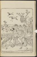 ku-speccoll:12892-56