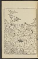 ku-speccoll:12892-57