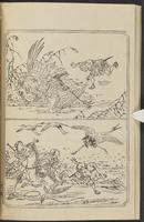 ku-speccoll:12892-60