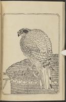 ku-speccoll:12892-62