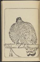 ku-speccoll:12892-63