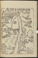 ku-speccoll:12892-66