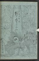 ku-speccoll:12892-78